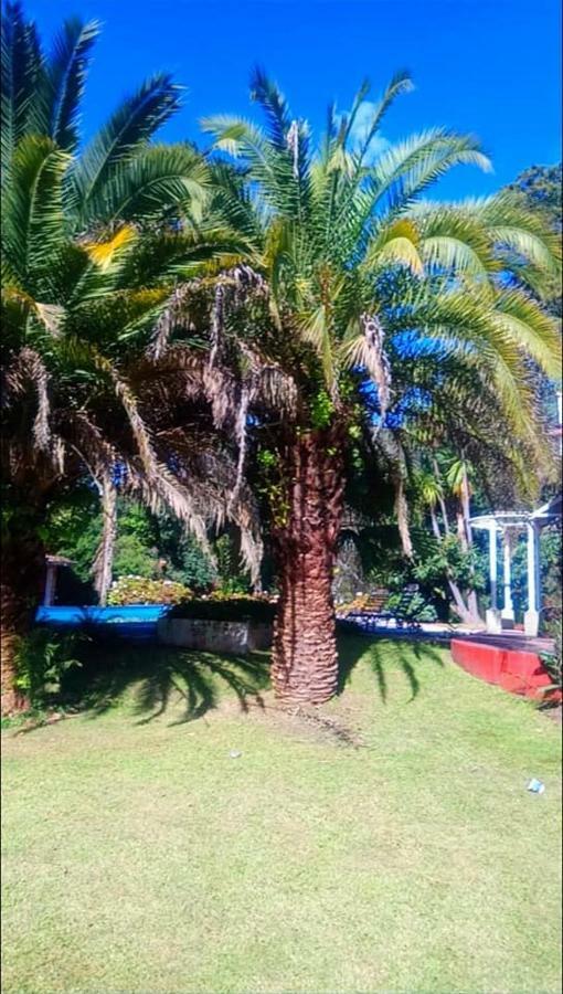 La Casona Del Camino Real Hotel San Salvador de Jujuy Kültér fotó